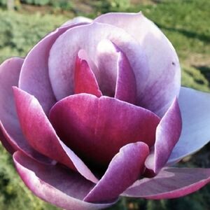 🌸🌸🌸IM LIVE!! COME JOIN ME FOR SOME BEAUTIFUL JEWELRY PIECES!🌸🌸🌸